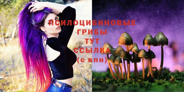 дурь Аркадак