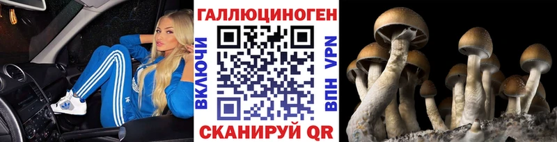 Галлюциногенные грибы мицелий  Избербаш 